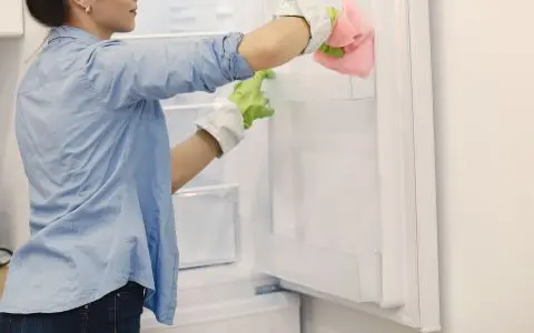 Limpiando-la-puerta-del-refrigerador-con-vinagre
